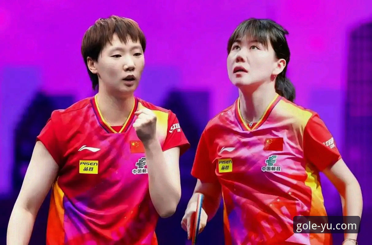 乐鱼APP怎么下载 中国女乒3-0横扫中国台北,陈幸同首秀表现深度解析——乐鱼体育登录独家赛事复盘